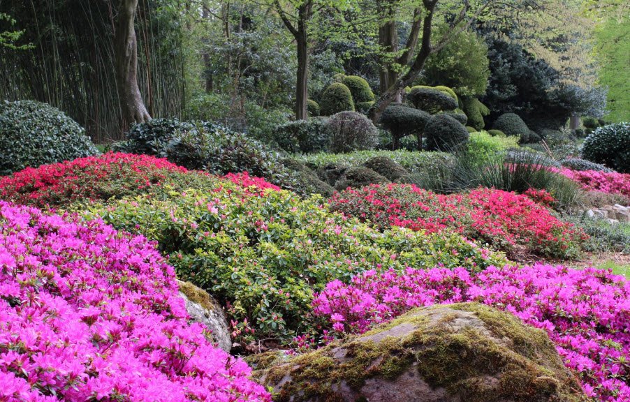 de l'Université Paris-Cité Botanical Garden, Paris, France, France